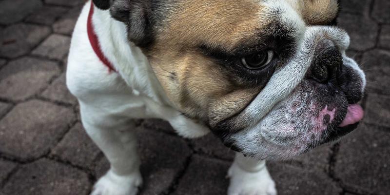 5G赋能企业转型:解锁编程开发新场景与网络资源分享新范式