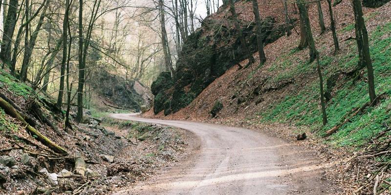 从影评到融资：SIFFM如何用网络技术破解中小企业资金困局