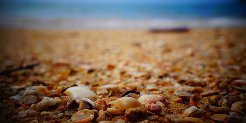 从编程开发到后端高手:如何借助学习社区实现技术跃迁