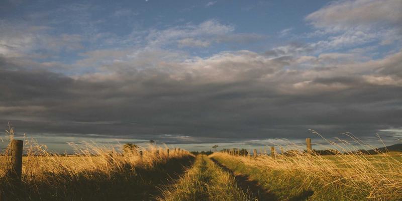 当胶片记忆遇见数字未来：SIFFM如何借区块链重塑复古电影生态